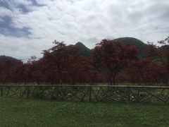 -云漫湖生态度假公园