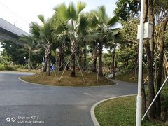 -宝安西湾红树林湿地公园