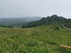 -白草畔自然风景区