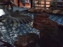 -大鹅岛绿色生态美食园