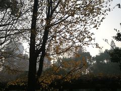 -徐家汇源景区-衡山公园