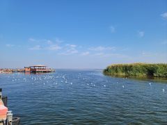 -乌梁素海景区