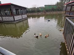 -老杨砂锅鱼庄