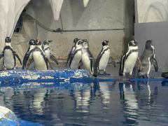 -太平洋海底世界