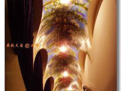 仿佛走入伊甸园-西郊5号·Maggie 5