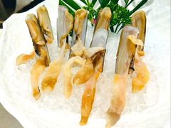 -纯味斑鱼府(中海环宇荟店)
