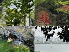-杭州黄龙洞
