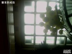 -上海浦东华美达大酒店·宴会厅