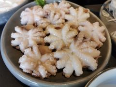 鲜八爪鱼-官也街澳门火锅(新源里店)
