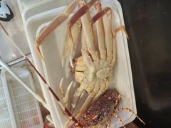 -吉友粥底火锅(方斜路店)