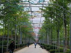 -南宫五洲植物乐园