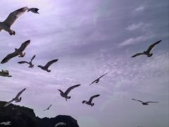 -长岛南北长山旅游景区