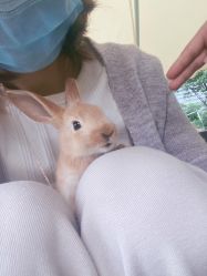 -萌宠亲子动物乐园(槐房万达店)