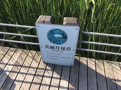 -太湖湖滨国家湿地公园-停车场
