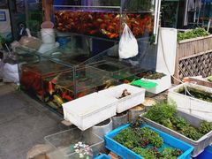 -平吉花卉市场