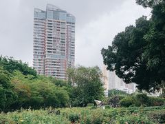 -人民公园(罗湖区)