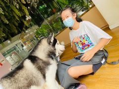 -Husky Go! 哈士奇体验馆·宠物咖啡厅狗咖