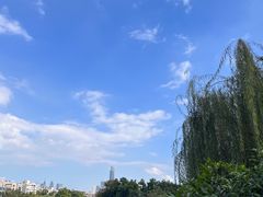 -东山湖公园