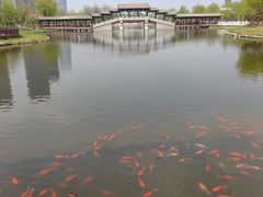 -西海子公园