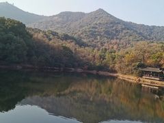 -杭州半山国家森林公园