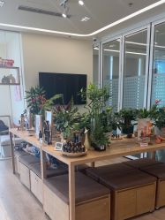 -dōTERRA多特瑞精油生活馆