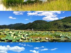 -腾冲北海湿地