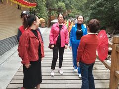 -九龙江国家森林公园