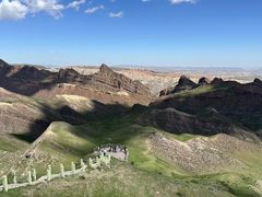 -俭寨大盘芦花土鸡·小公鸡·烧烤新疆菜(云通店)