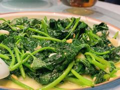 生炒地瓜叶-八闽饭店闽南小镇(铁西店)