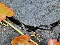 -星巴克臻选(武汉首义汇店)