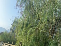-李东农庄(中南百草园地标店)