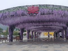 -徐州乐园加勒比水世界