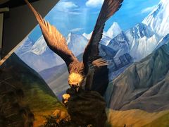 -陕西自然博物馆