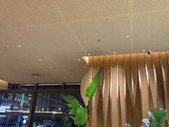 -Bco豆库(星耀天地店)