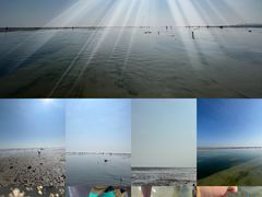 -北海金海湾红树林生态旅游区