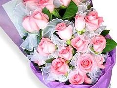 -双季花艺园艺市场(浦东店)