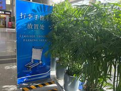 -威海大水泊国际机场