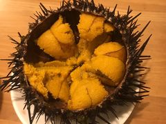 -海胆小馆(东北水饺·春柳店)