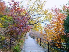 -香山公园