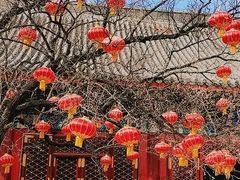 -香山公园