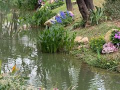 -人民公园(罗湖区)