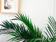 -收获咖啡HARVEST RESERVE(苍山店)