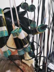 -逸丝风尚yesfashion造型