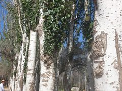 -黄沙古渡原生态旅游区