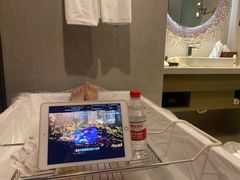 -南京禄口机场雅高铂尔曼大酒店