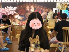 -豆柴町-柴犬主题狗咖(红鼎国际C座店)