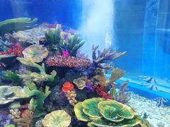 -成都浩海立方海洋公园