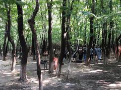 -亲兄弟真人CS团建拓展基地