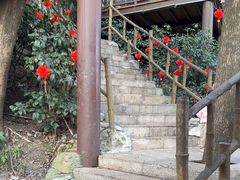 -巴倒烫陆派火锅山庄(南山总店)