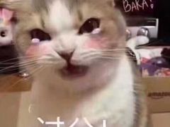-原麦山丘(望京小街店)